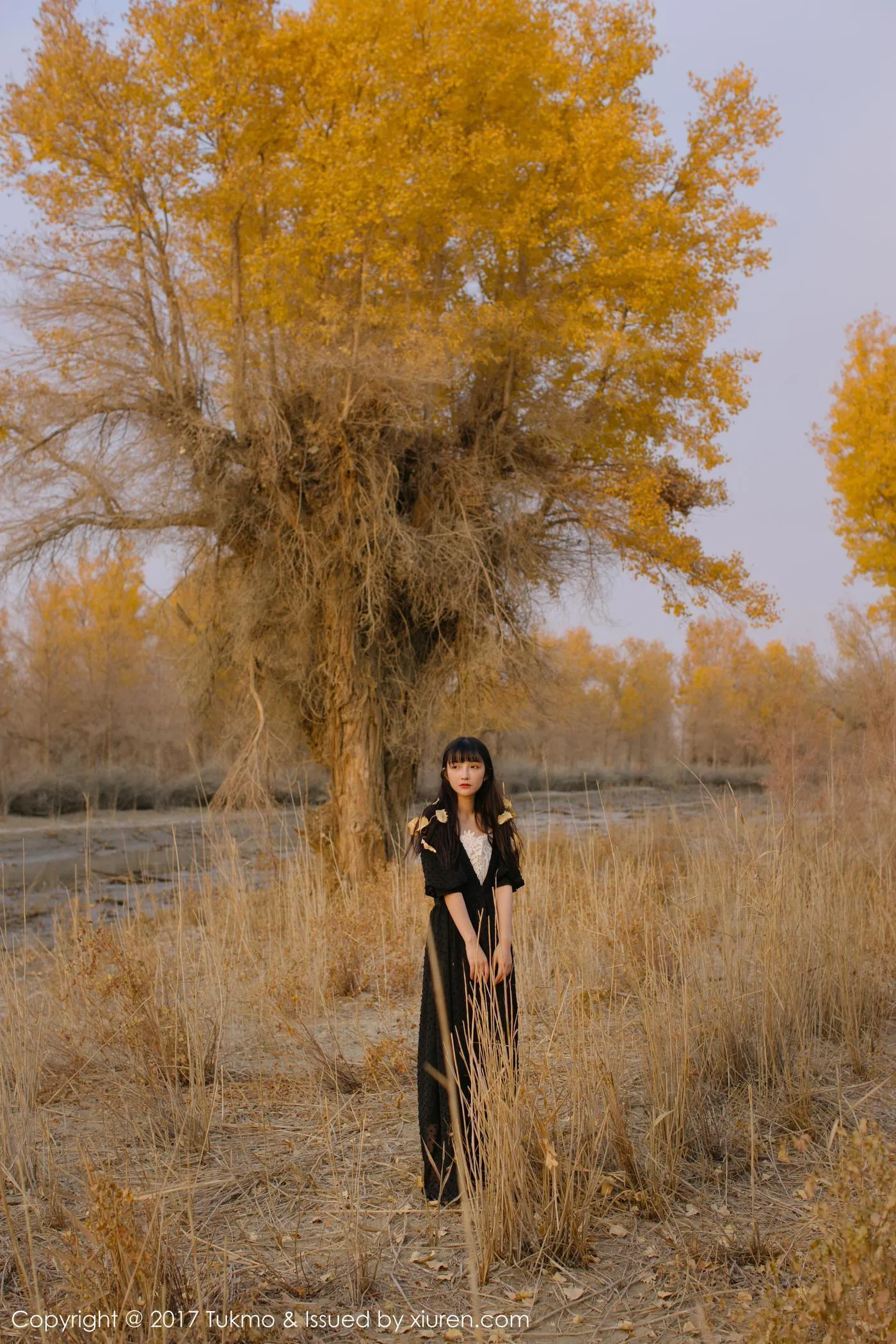 Vol.104 之应 [41P]插图7